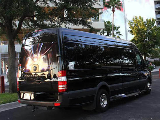 Mercedes dfw limo service exterior